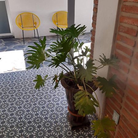 Estudio #5 Casa Fatima, 8 Min Del Centro 1 Persona Гвадалахара Екстер'єр фото