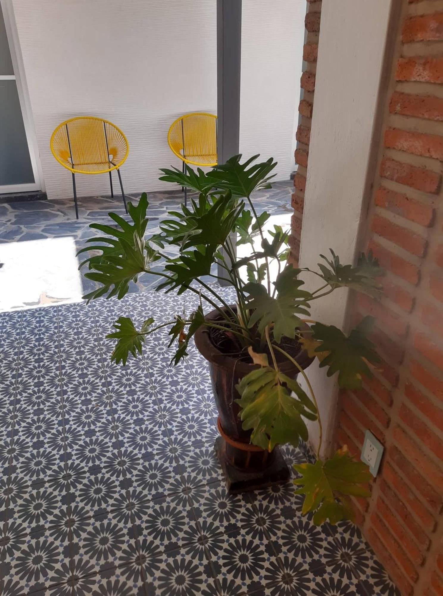 Estudio #5 Casa Fatima, 8 Min Del Centro 1 Persona Гвадалахара Екстер'єр фото